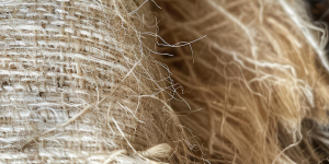 WISER: fibre naturali alpine e economia circolare al centro del nuovo progetto Interreg Alpine Space
